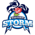 Eastern Storm - logo